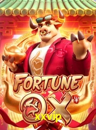 XXVIP.COM